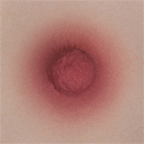 Yearndoll アニメドール 135cm Dカップ LZ02ヘッド 高品質シリコン製 小悪魔系アダルト人形 大人向け