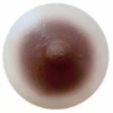 Rainstorm doll シームレスドール 169cm Dカップ  LAC NO.3 かやヘッド 瞑り目ヘッド 高級シリコン製リアルスキンボディ 綺麗な花嫁等身大ラブドール