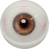 FANREAL 166cm Jカップ 爆乳リアルドール  #Noraヘッド ROS口開閉機能付き 実践向け高級セクシーラブドール 赤い衣装美少女ダッチワイフ