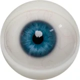 FANREAL 166cm Jカップ 爆乳リアルドール  #Noraヘッド ROS口開閉機能付き 実践向け高級セクシーラブドール 赤い衣装美少女ダッチワイフ