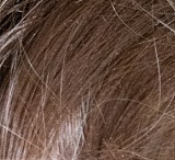 YUEdoll リアル皮膚 150cm Cカップ 甜甜（tiantian）ヘッド シリコン製リアル人形 アジア美人ラブドール