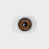 Notye 最新作セクシートルソー S66 120cm Hカップ #28夢ヘッド フルシリコンダッチワイフ サンタ風コスチュームのアダルトドール