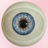 【新品キャンペーン10％オフ ハードハンドとハードフィット無料1月28日から2月15日まで】Art-doll （Novaシリーズ）最新作158cm Cカップ ＃12 天使萌ヘッド nova素材ボディ+シリコンヘッド  ros口開閉機能付き セクシー女優系リアルドール