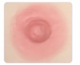 BQDOLL 156cm Gカップ+ B2ヘッド フルシリコン製ドール 等身大セクシーダッチワイフ ラブドール