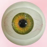 Art-doll （Novaシリーズ）最新作148cm Dカップ ヘッド自由に選択 nova素材+シリコンヘッド ros口開閉機能あり オーラルあり セクシー等身大リアルドール