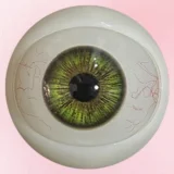 【新品キャンペーン10％オフ ハードハンドとハードフィット無料1月28日から2月15日まで】Art-doll （Novaシリーズ）最新作158cm Cカップ ＃12 天使萌ヘッド nova素材ボディ+シリコンヘッド  ros口開閉機能付き セクシー女優系リアルドール