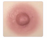 BQDOLL 156cm Gカップ+ B2ヘッド フルシリコン製ドール 等身大セクシーダッチワイフ ラブドール