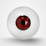 TOP-CYDOLL トルソー 110cm Gカップ Elve ROSヘッド 高級シリコン製半身ドール 欧米フェイスモデルダッチワイフ