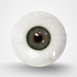 TOP-CYDOLL トルソー 110cm Gカップ Elve ROSヘッド 高級シリコン製半身ドール 欧米フェイスモデルダッチワイフ