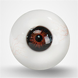 TOP-CYDOLL トルソー 110cm Gカップ Elve ROSヘッド 高級シリコン製半身ドール 欧米フェイスモデルダッチワイフ