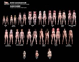 【618年中最大キャンペーン専用リンク 14%オフ 10種から2点オプション無料 ２セット24枚写真返送場合２個ヘッド無料に指定可能】 ElsaBabe アニメドール 157cm/160cm/165cm ヘッドとボディ自由に組合可能 シリコン製 等身大リアルラブドール