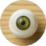 【全商品10％オフ ヘッドとボディ自由に組合】My Loli Waifu  結菜Yunaヘッド シリコンヘッド+TPE製ボディー  掲載画像職人メイク加工あり ロり系等身大リアルラブドール