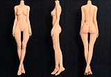 ボディ単体専用リーク Art-doll （Novaシリーズ）ボディ自由に組合 nova素材ボディ セクシーラブドール