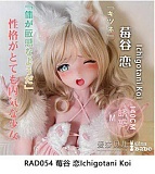 ElsaBabe ヘッド単体 M16ボルト アニメドール 125cm/140cm/148cm/150cmボディに適切