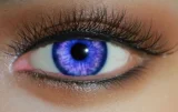 YUEdoll ヘッドとボディ自由に組合 シリコン製 等身大リアルドール セクシーダッチワイフ