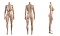 155cm Fカップ
