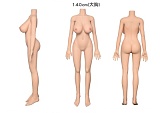 AXBDOLL  ヘッド#TD43R-w 140cm バスト中  掲載画像がリアルメイク塗装加工あり ロリ系TPEラブドール