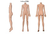 AXBDOLL 140cm バスト中  #TD43Rヘッド 掲載画像がリアルメイク塗装加工あり ロリ系TPEラブドール