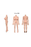 「全種類ボディ」AXBDOLL  ボディのみ  TPEラブドール  リアルドール 等身大 新骨格 ダッチワイフ （ヘッド含ません）