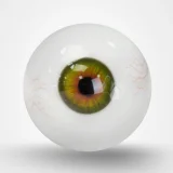 【6月30日まで】TOP-CYDOLL 6月キャンペーン｜ 二つ目ヘッド無料｜ROS口開閉機能｜人気オプションが一部無料｜koharu衣装無料｜ヘッドとボディ自由に組合 フルシリコン製ラブドール