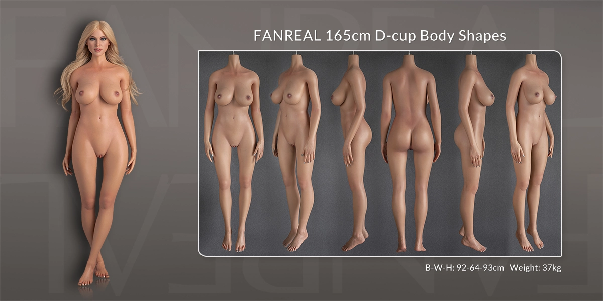 165cm-Dカップ