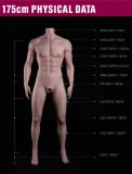 蛍火日記 176cm 江灵ヘッド 男性ラブドール 職人メイク二次元風ドール 着脱ペニス選択可 シリコン製高身長ラブドール