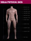 蛍火日記 180cm 江灵ヘッド アジア系イケメンモデル リアル男性ラブドール 着脱ペニス選択可