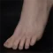 進化の足骨格
