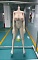 165cm Gカップ(TPE) 165cm Gカップ(TPE)