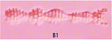 Irontechdoll 164cm Eカップ S13 ROS MAXヘッド フルシリコン製 巨乳ラブドール ブラックホルターネックワンピースが映える欧米風ドール