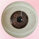 Art-doll (Novaシリーズ) シリコンヘッドヘッド単体 ros口開閉機能可能