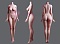 170cm Fカップ 170cm Fカップ