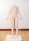 146cm Cカップ(TPE)
