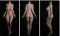158cm-Iカップ(PRO)リアル皮膚 158cm-Iカップ(PRO)リアル皮膚