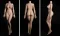160cm-Fカップ 160cm-Fカップ