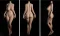 161cm-Hカップ(PRO)リアル皮膚 161cm-Hカップ(PRO)リアル皮膚