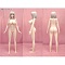 TPEボディ+155cm Hカップ（ゼリー胸）