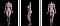 163cm-Eカップ(PRO-リアル皮膚付き) 163cm-Eカップ(PRO-リアル皮膚付き)
