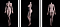 160cm-Fカップ 160cm-Fカップ