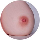 Erovenus Maxシリーズ LN-T-017T 102cmトルソー Cinnaヘッド ROS機能オプション選択可能 小麦肌美人ラブドール