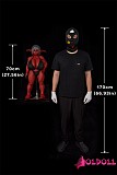 70cmサイズの存在感を伝えるローアングル