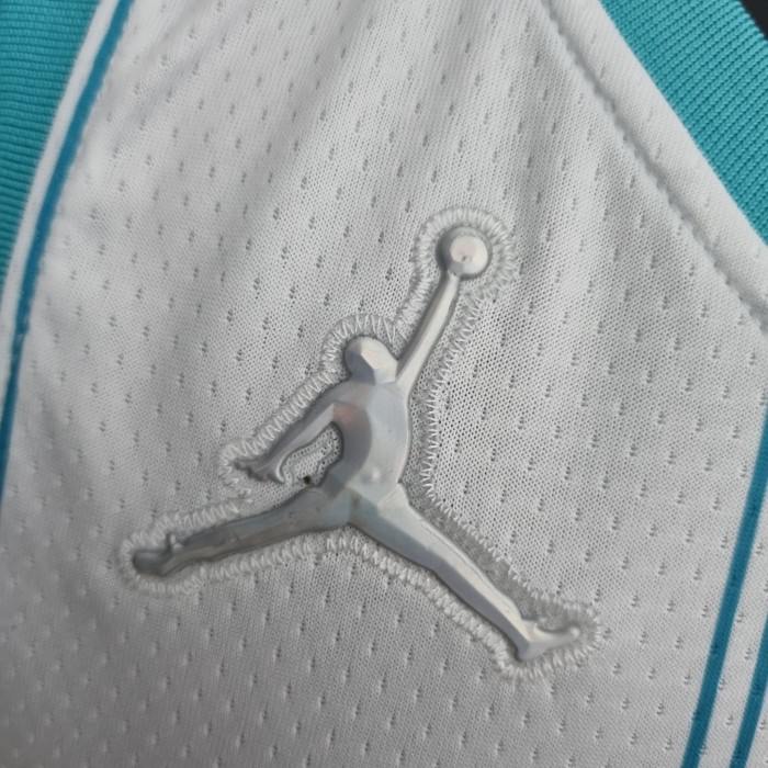 Gordon Hayward Charlotte Hornets 75th Anniversary Swingman Jersey White