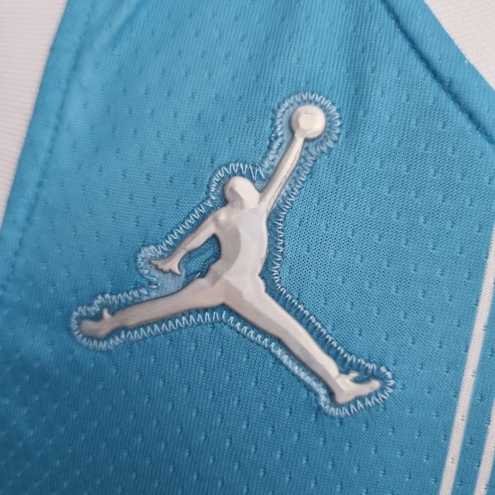 Gordon Hayward Charlotte Hornets 75th Anniversary Swingman Jersey Blue