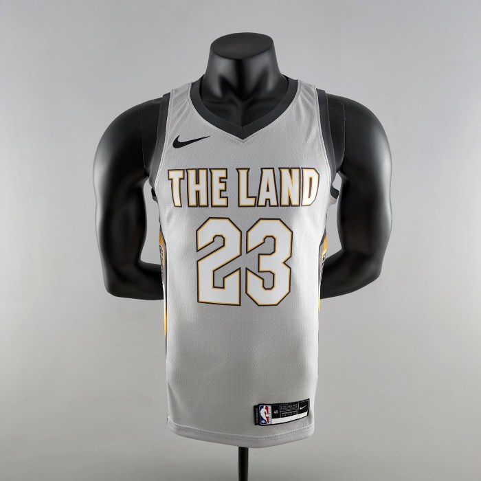 LeBron James Cleveland Cavaliers Grey Swingman Jersey 2018