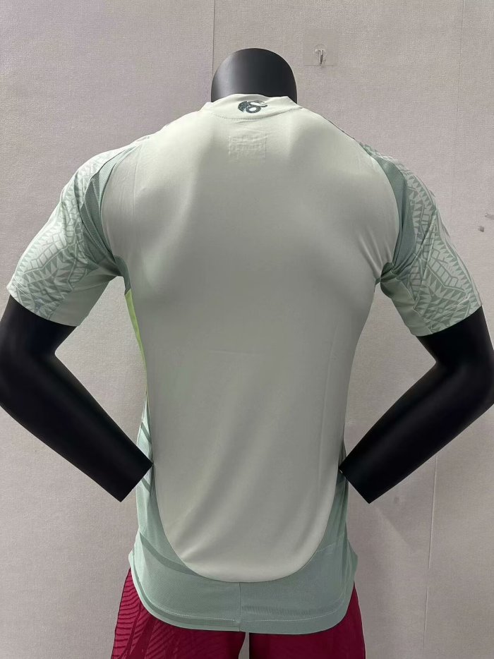Mexico 2024 Copa America Away Player Man Jersey