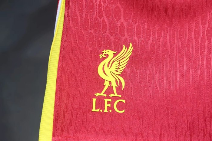 Liverpool Home Player Shorts 24/25