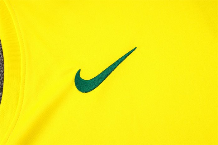 Brazil Training Jersey 24/25