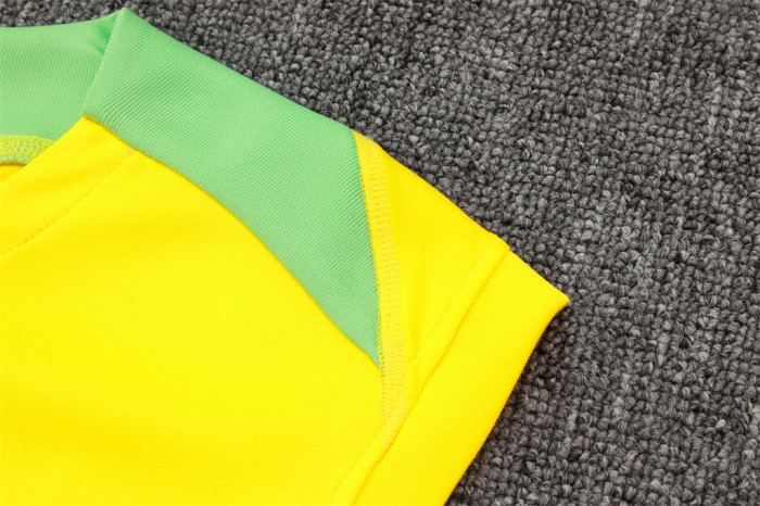 Brazil Training Jersey 24/25