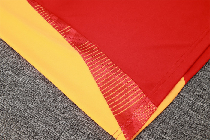 Bayern Munich POLO Jersey 24/25