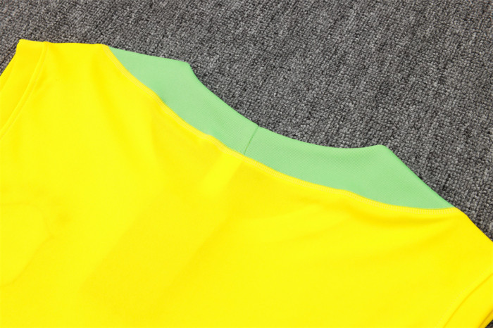 Brazil Training Jersey 24/25